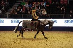 Quadrille - 00755